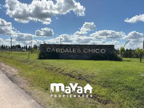 LOTE EN VENTA - CARDALES CHICO