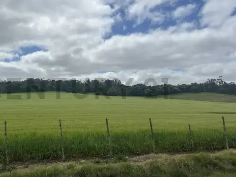 Parcelas 875 E y 875 F , Piso 0