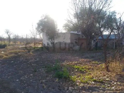 Venta de Finca en General Alvear. Productiva