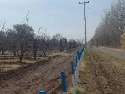 Venta de Finca en General Alvear. Productiva