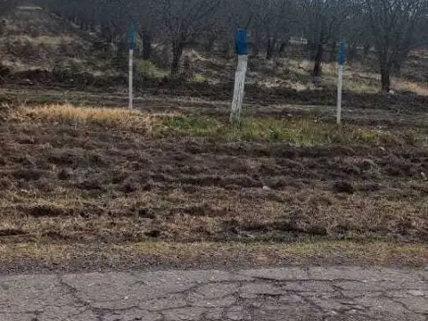Venta de Finca en General Alvear. Productiva