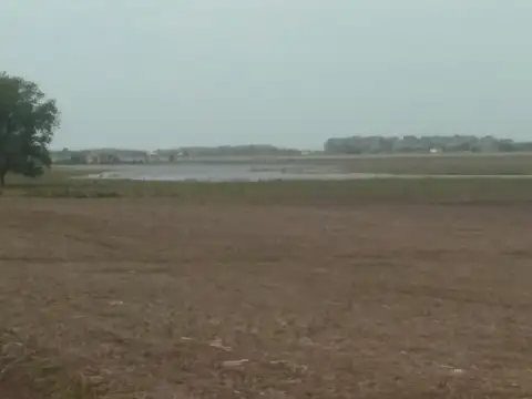 VENTA - CHACRA 5,5 ha