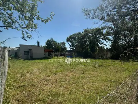 Terreno - Venta - Argentina, Brandsen