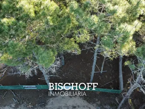 Terreno en Venta en Pinamar, USD 68.000