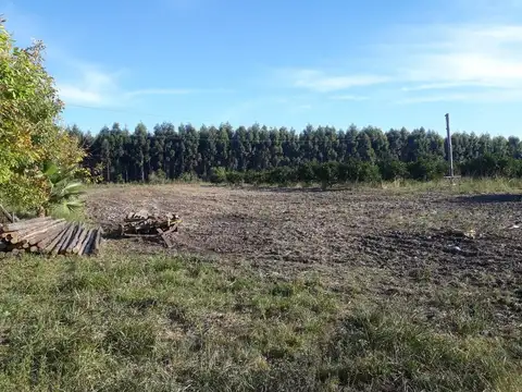 Hectáreas en venta La Criolla