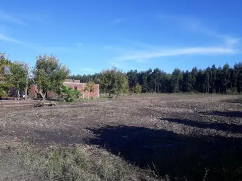 Hectáreas en venta La Criolla