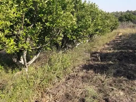 Campo en Venta de 3  ha