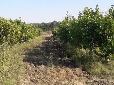 Hectáreas en venta La Criolla