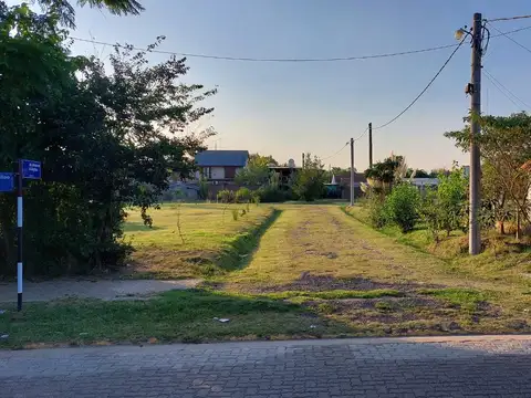 Dr. Roberto Gaytan y Callao