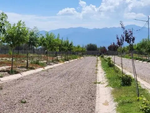 Terreno en Venta en Mayor Drummond, USD 42.000