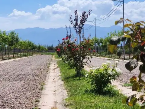 Terreno en Venta en Mayor Drummond, USD 42.000
