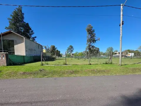 Tomas Espora 3400