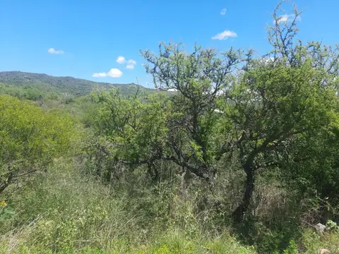 Terreno en Venta de 1184,0 m2