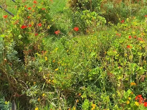 Terreno en Venta de 615,0 m2