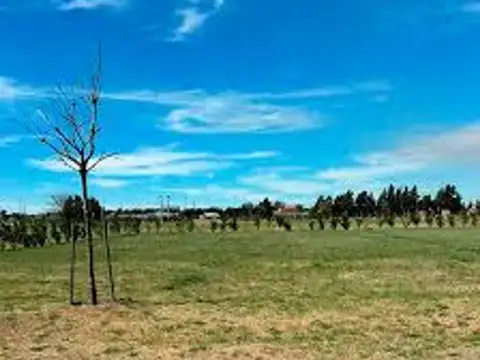 Avenida San José de Calasanz 9500