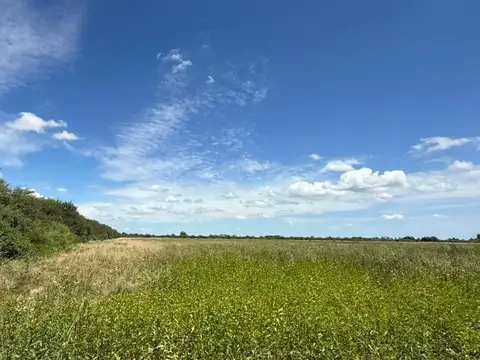 Terreno en Venta en Fernandez, USD 40.600