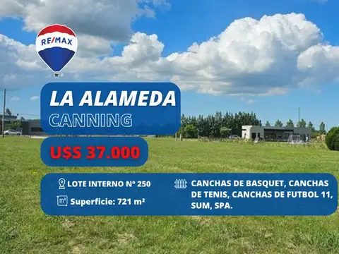 LOTE INTERNO EN LA ALAMEDA ETAPA 1