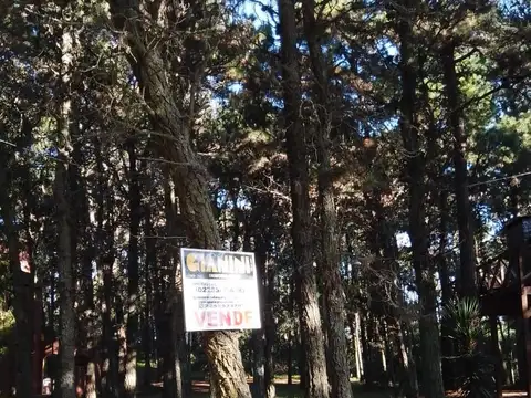 Terreno - Venta - Argentina, Mar de las Pampas