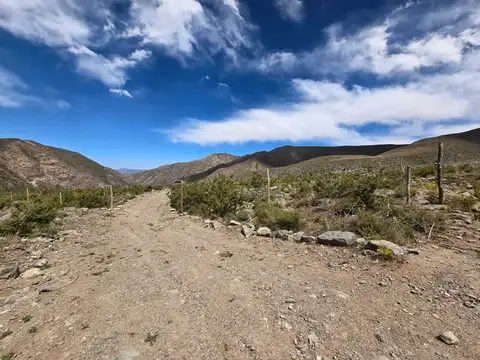 Terreno en Venta de 5000,0 m2