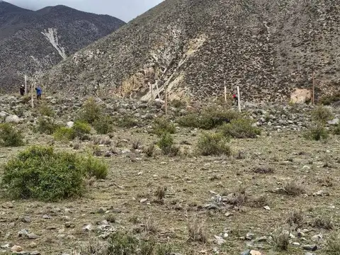 Terreno en Venta - Potrerillos - Mendoza