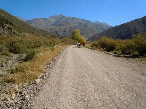 Camino Francisco Guiñazú