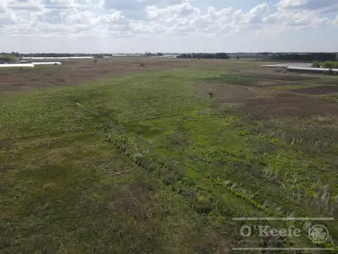 CHACRA HORTICOLA DE 3,1  ha EN VENTA