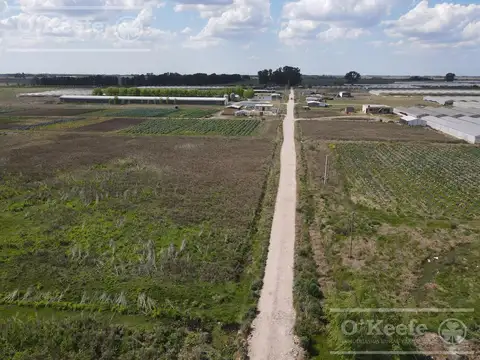 Chacra Hortícola en Venta - La Plata 3,1 has