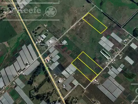 Chacra Hortícola en Venta - La Plata 3,1 has