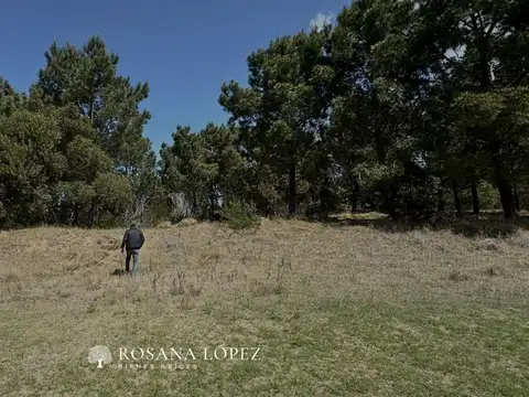 Lote - Venta - Argentina, Costa Esmeralda - lote 200