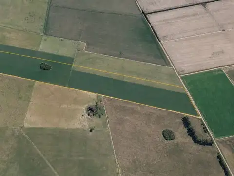 Campo mixto a la venta de 30 hectáreas en Monje.
