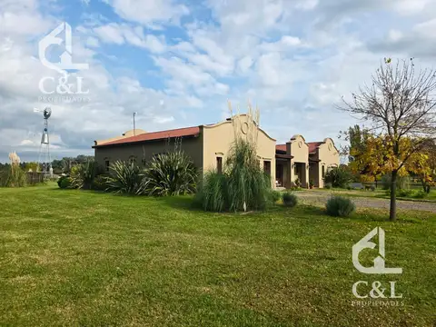 Benquerencia Farm Club 6