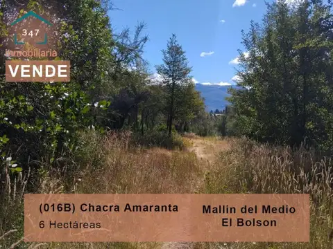 (016B) EL BOLSON (Mallin Ahogado) Chacra Amaranta 6 Has