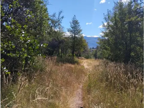 (016B) EL BOLSON (Mallin Ahogado) Chacra Amaranta 6 Has