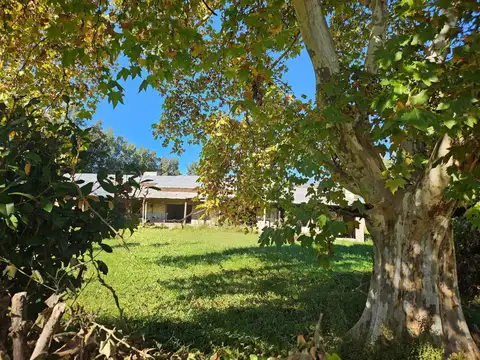 ALQUILO Casa  con piscina y amplio terreno (1 ha) ANTARTIDA ARGENTINA  al 500 SOLDINI