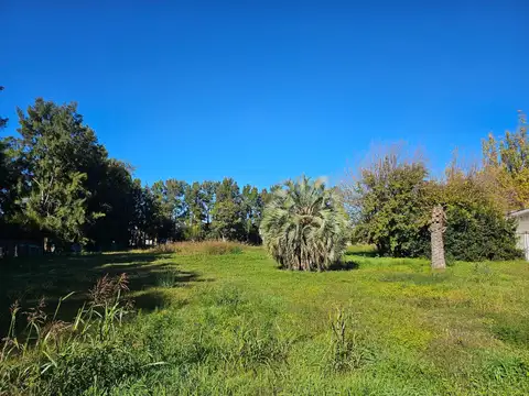 Casa en Alquiler 15 años
