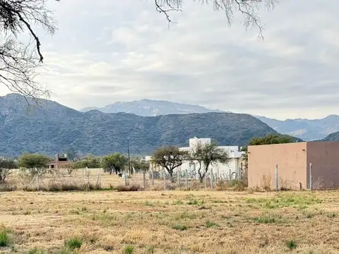 La Pancha 3