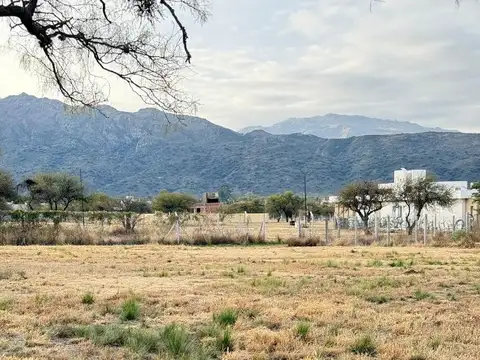 La Pancha 3