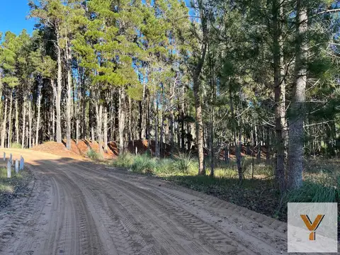 Terreno en venta - 955.93mts2 - Villa Robles, Pinamar