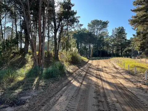 Terreno en Venta en Villarobles, USD 49.000