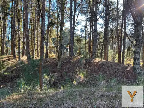 Terreno en Venta de 955,0 m2