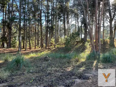 Terreno en venta - 955.93mts2 - Villa Robles, Pinamar