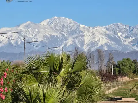 Terreno en Venta 36,50  mts Fondo