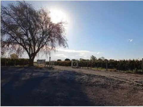Antiguo camino a San Carlos s/n y Ruta Nacional 40 s/n, Tupungato, Mendoza