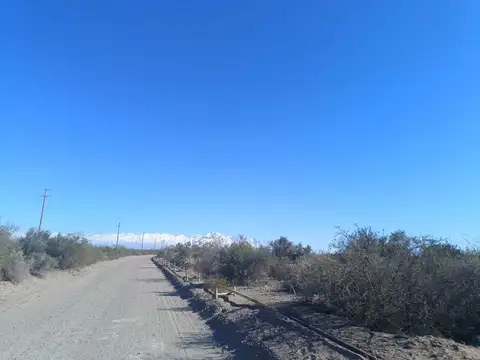 CAMPO EN VENTA 1307 HA ANCHORIS TUPUNGATO RUTA 40