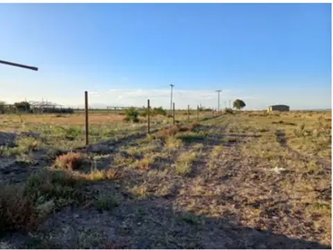Antiguo camino a San Carlos s/n y Ruta Nacional 40 s/n, Tupungato, Mendoza