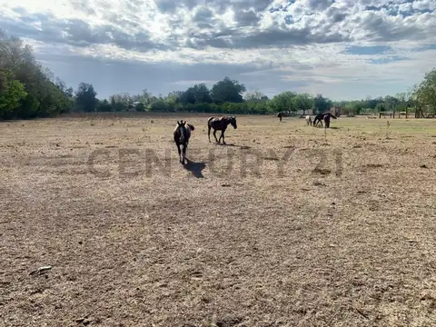 446 e/ 137 y 138 100