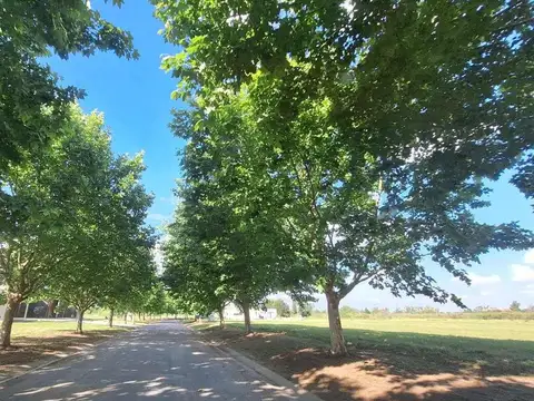 Terreno en Venta de 2029,0 m2