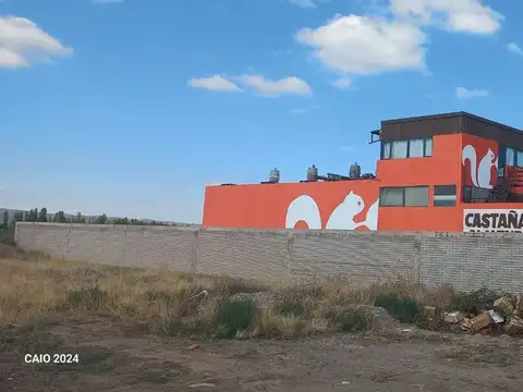 calle Republica 1100