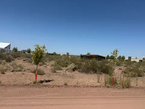 Terreno en Venta de 604,0 m2