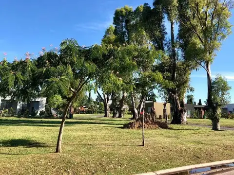 Av. Honorio Pueyrredón (Ruta 25) , Piso 0